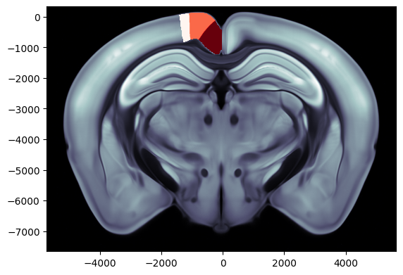 ../_images/notebooks_example_ibl_plot_8_1.png