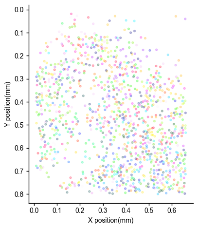 ../_images/notebooks_example_rastermap_2p_11_0.png
