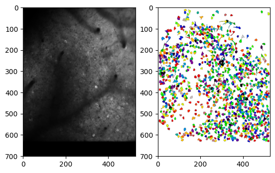 ../_images/notebooks_example_imaging_2p_11_0.png
