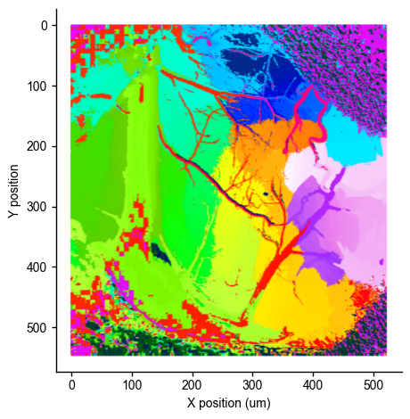 ../_images/notebooks_example_rastermap_wfield_12_0.png